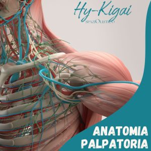 Corso Anatomia Palpatoria Padova